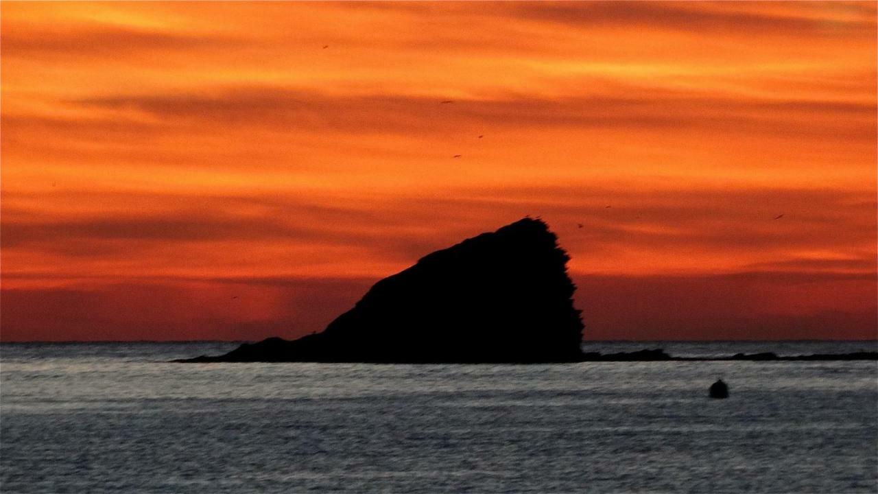 Es Volca Lejlighed Cadaqués Eksteriør billede